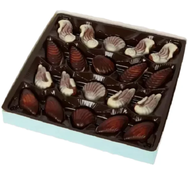 Цукерки Ракушки шоколадні Бельгійські Асорті Alltime Favorites Chocolate Seashells Олтайм морські мушлі Коробка 20шт 250г - 2